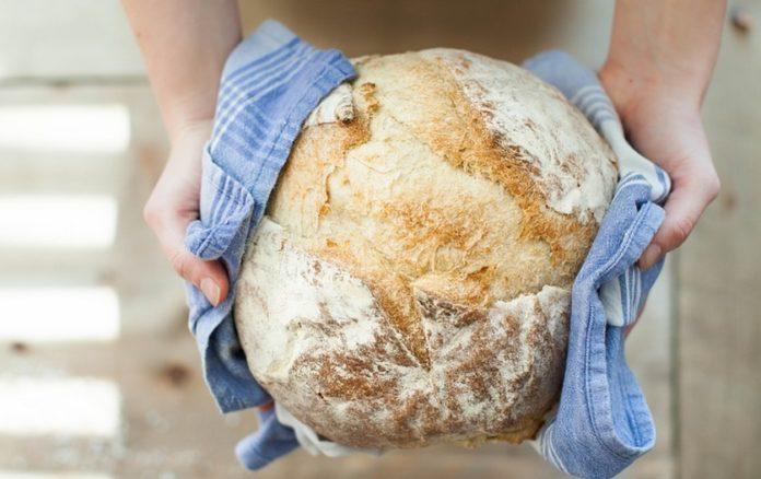 Илюстративна снимка: Пиксабей