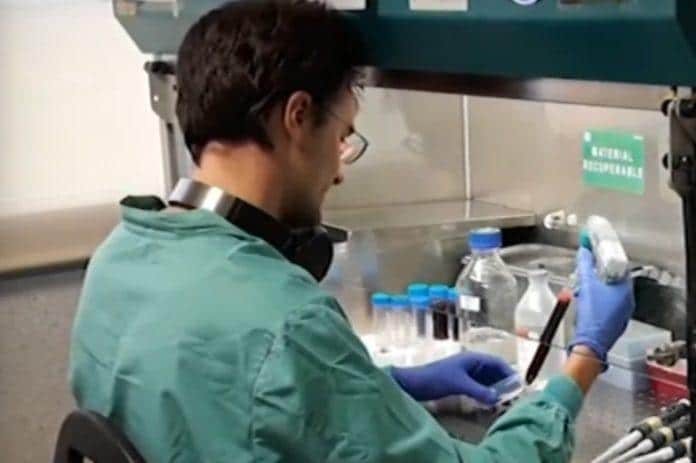 Снимка: Скрийншот от репортаж на NOVA