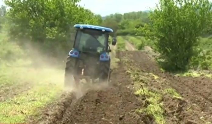 Снимка: Скрийншот от видео на NOVA