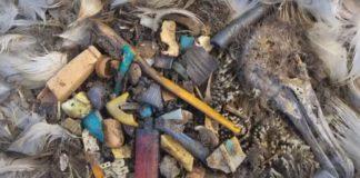 Замърсяване с микропластика