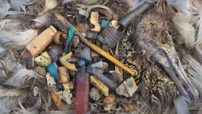 Замърсяване с микропластика