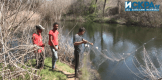 Общински съветник залавя бракониери