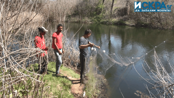 Общински съветник залавя бракониери