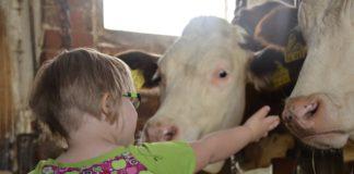 Дете със Синдром на Даун