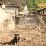 Останките от къщата