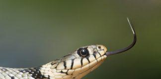 Илюстративна снимка: Пиксабей