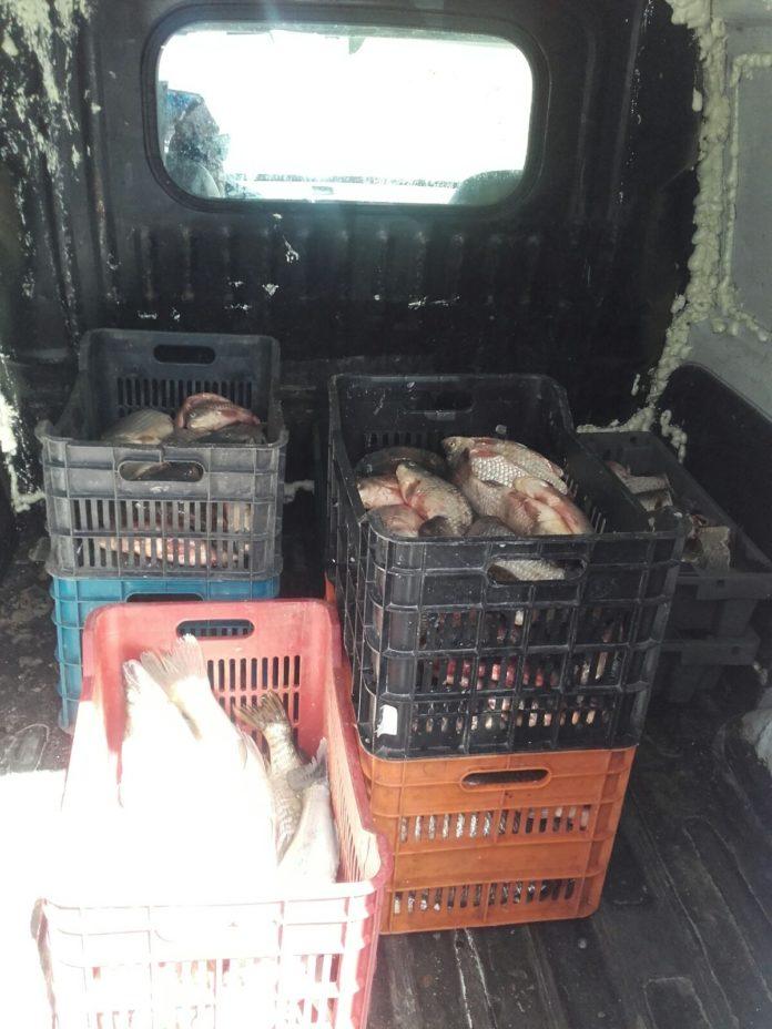 Рибата. Снимка: МВР