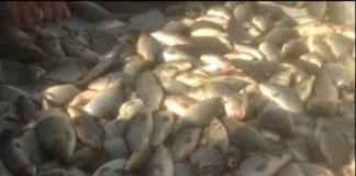 Снимка: ЦРОО-Бургас