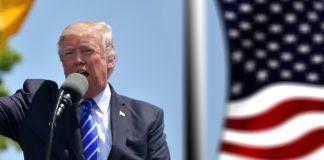 Доналд Тръмп, Снимка: Pixabay