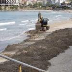 Багер на плажа в Созопол