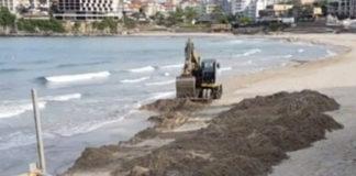 Багер на плажа в Созопол