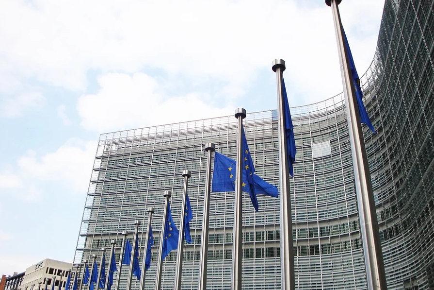 Европейската комисия ЕК обяви по рано днес че възнамерява да заведе