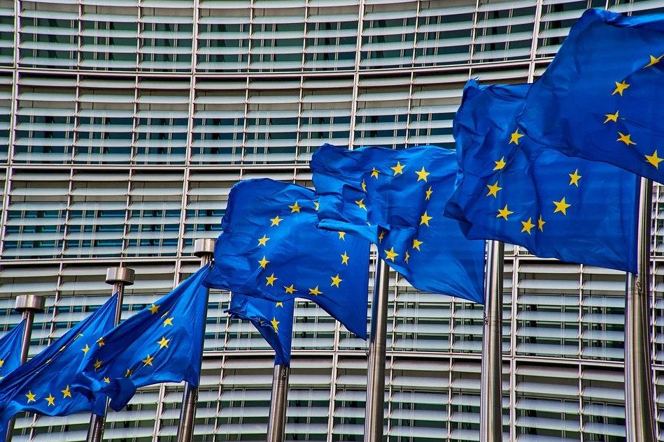 Изпълнителният орган на Европейския съюз /ЕС/ изисква от всички служители