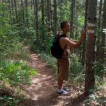 102682090 2930143413771459 7477208117501426464 n