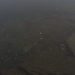 Снимка: Фейсбук, Emil Rashkovski‎