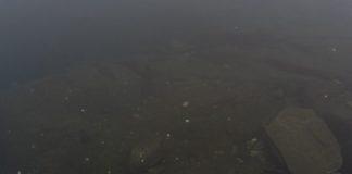 Снимка: Фейсбук, Emil Rashkovski‎