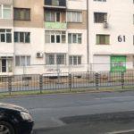 Изсечени дървета Демокрация