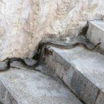 Снимка: Фейсбук, Михаела Иванова