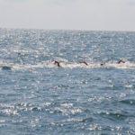 Плувен Снимка: Фейсбук, маратон Галата - Варна