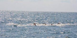 Плувен Снимка: Фейсбук, маратон Галата - Варна