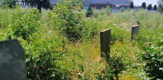 Гробищен парк