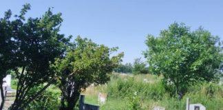 Гробищен парк