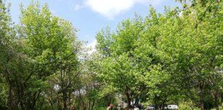 Снимка, Фейсбук, Възстановяване на ботаническа градина гр. Пловдив