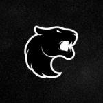 Лого. Снимка: Фейсбук, FURIA Esports