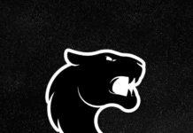 Лого. Снимка: Фейсбук, FURIA Esports