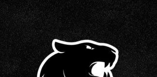 Лого. Снимка: Фейсбук, FURIA Esports