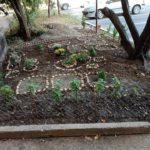 Градинката. Снимка: Фейсбук, Галина Вълкова