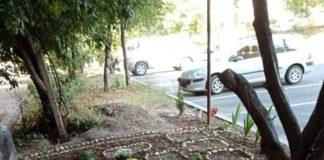 Градинката. Снимка: Фейсбук, Галина Вълкова