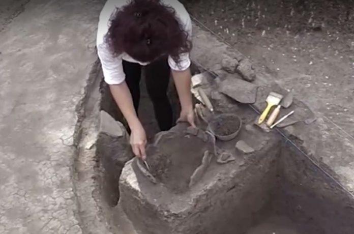 Снимка: Скрийншот от репортаж на NOVA