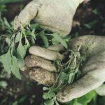 Илюстративна снимка: Пиксабей