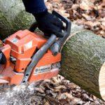 Илюстративна снимка. Източник: PixaBay