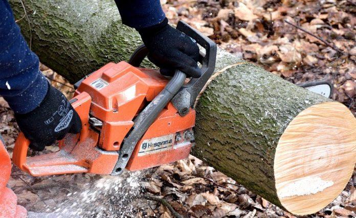 Илюстративна снимка. Източник: PixaBay