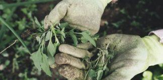 Илюстративна снимка: Пиксабей