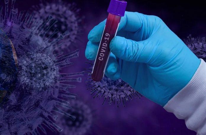 Илюстративна снимка: Пиксабей