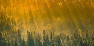 Гора, туристи, ПСС