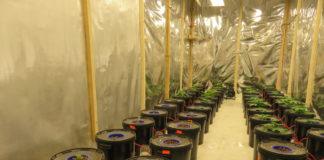 Снимка: МВР