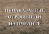 Кой отрови пчелите и защо виновните не са наказани?