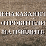 Кой отрови пчелите и защо виновните не са наказани?