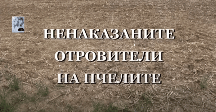 Кой отрови пчелите и защо виновните не са наказани?