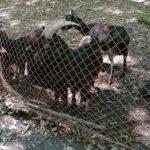 Текето. Снимка: Личен архив