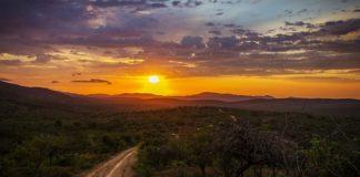 Илюстративна снимка. Източник: PixaBay