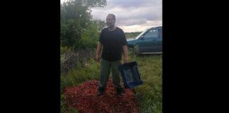 Производител на череши