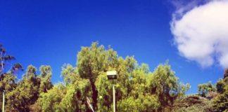 Снимка: Григор Димитров, Фейсбук профил