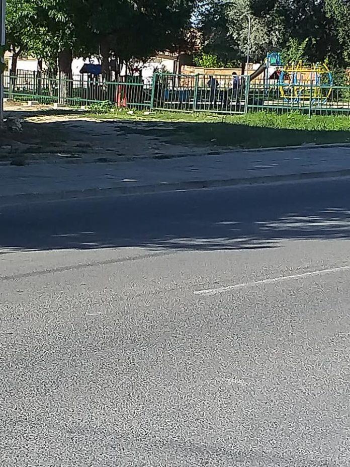 Снимка: Фейсбук, Диди Ячева