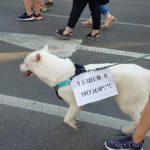 107593076 181245120092127 4145889722501418933 o