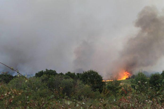 Снимка: Фейсбук, Областна администрация Хасково